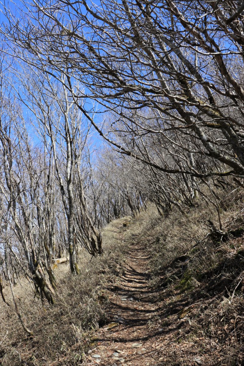 f:id:SISIS:20210509210539j:plain