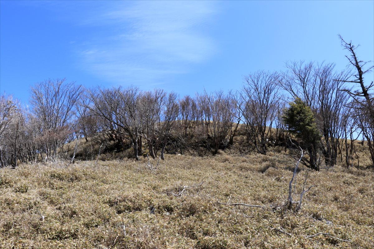 f:id:SISIS:20210509210551j:plain