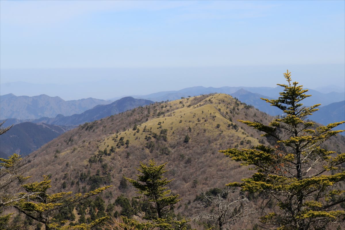 f:id:SISIS:20210509210619j:plain