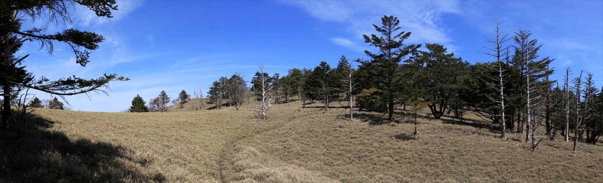 f:id:SISIS:20210509210756j:plain