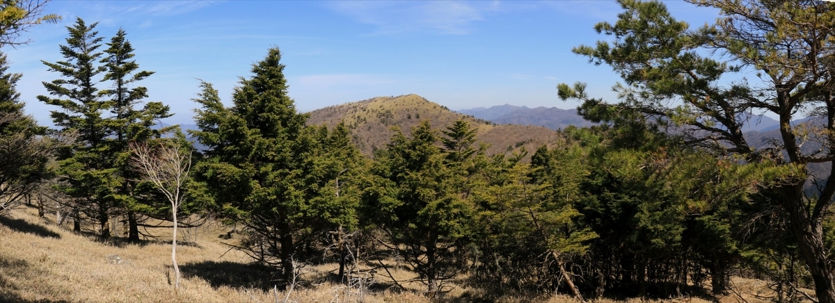 f:id:SISIS:20210509210802j:plain