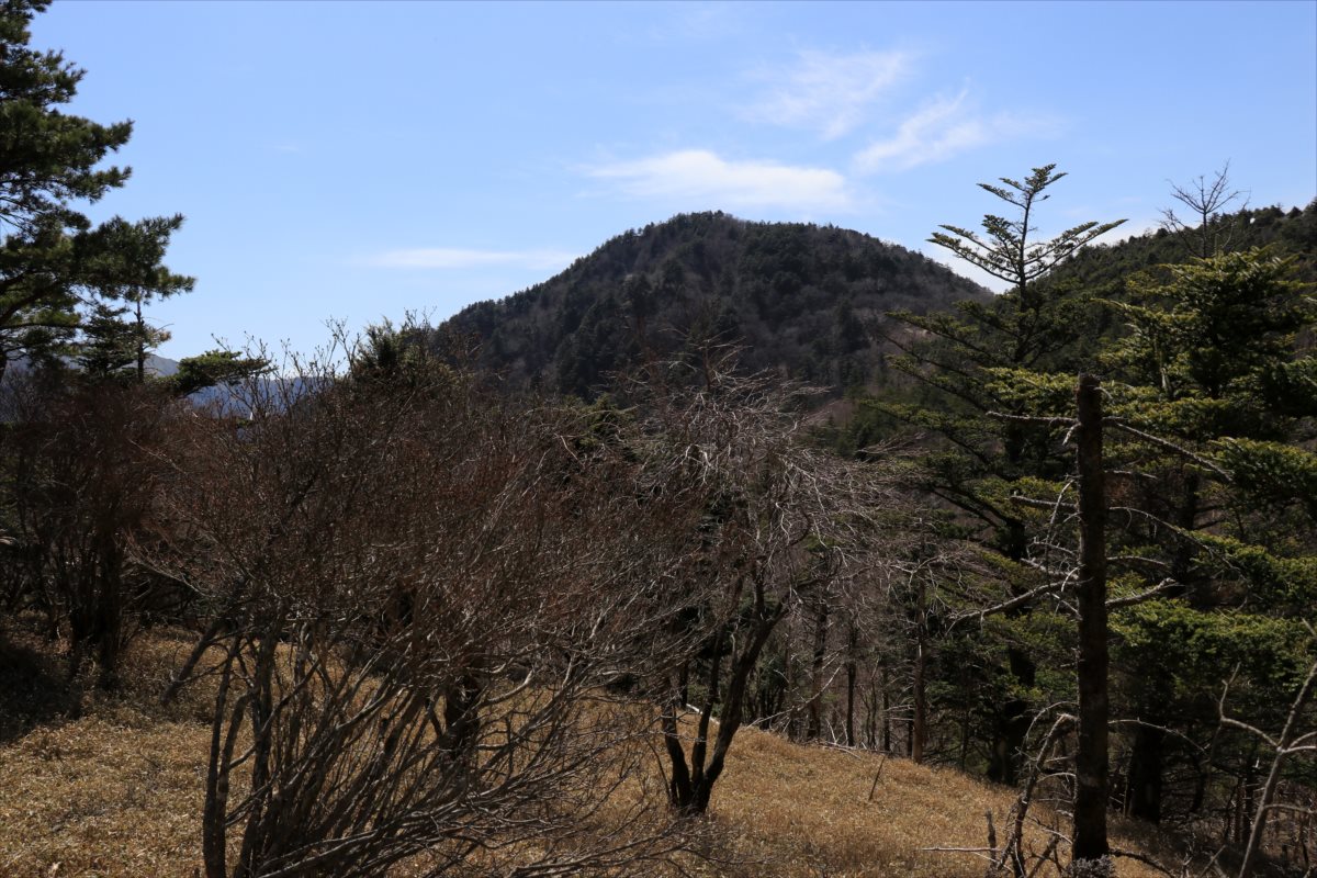 f:id:SISIS:20210509210808j:plain