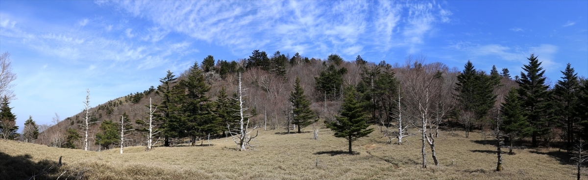 f:id:SISIS:20210509210821j:plain