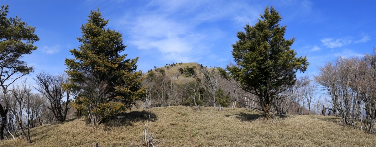 f:id:SISIS:20210509210829j:plain