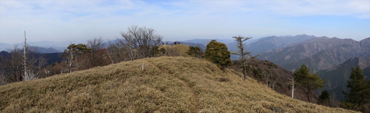 f:id:SISIS:20210509210938j:plain