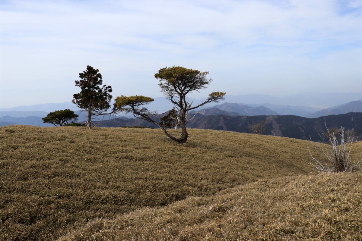 f:id:SISIS:20210509210952j:plain