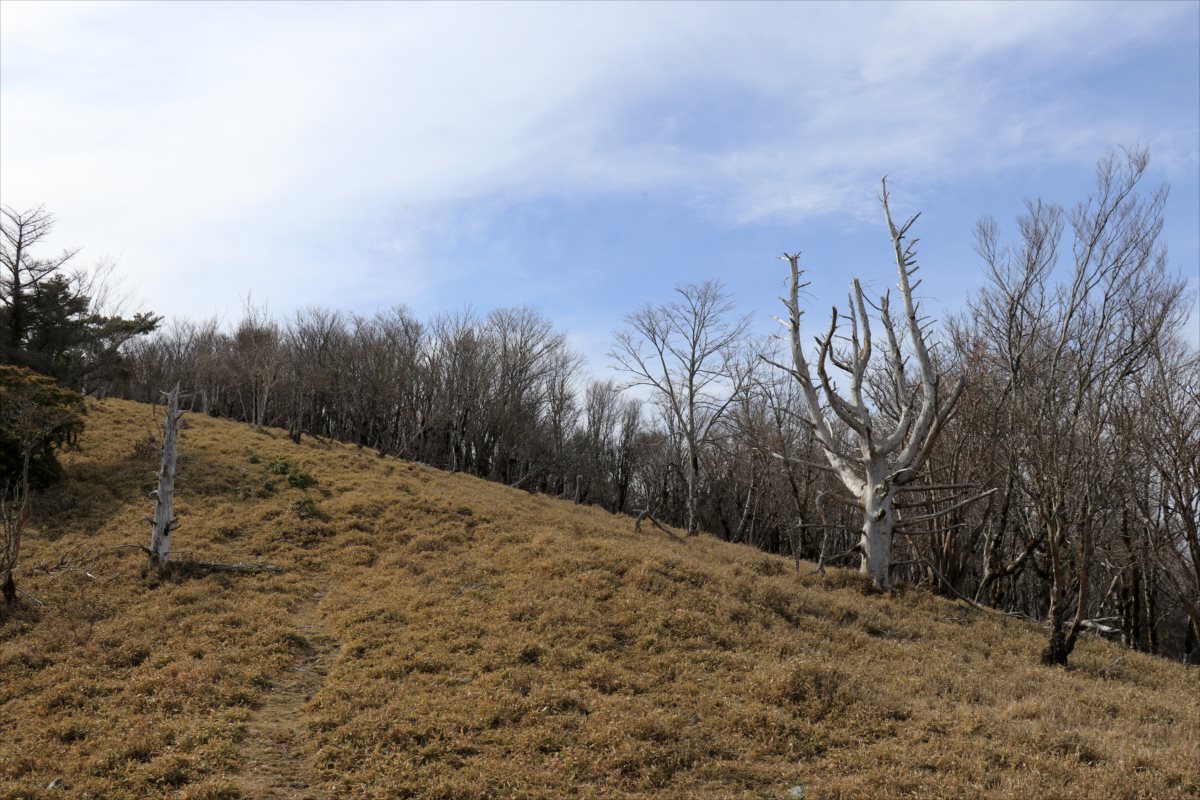 f:id:SISIS:20210509211015j:plain