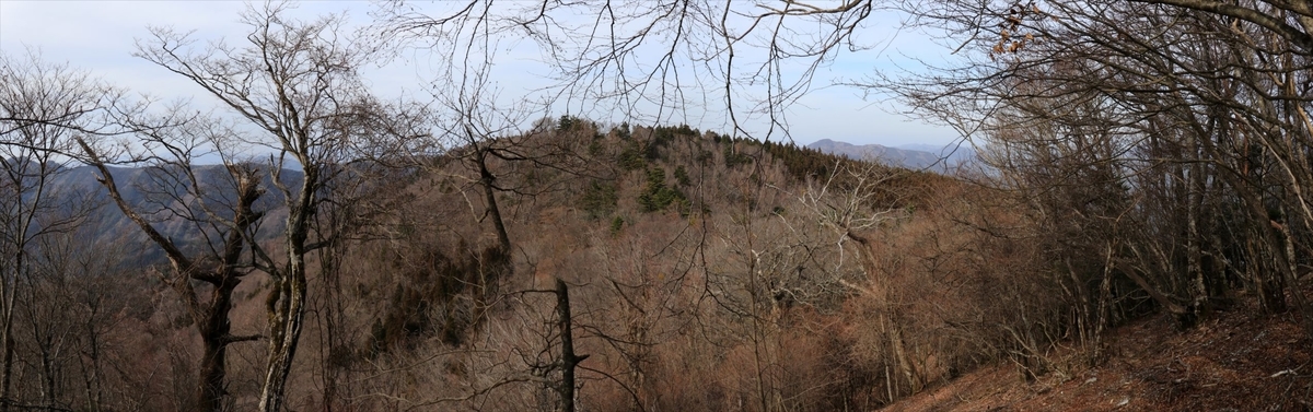 f:id:SISIS:20210509211033j:plain