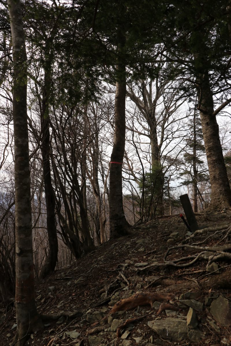 f:id:SISIS:20210509211039j:plain