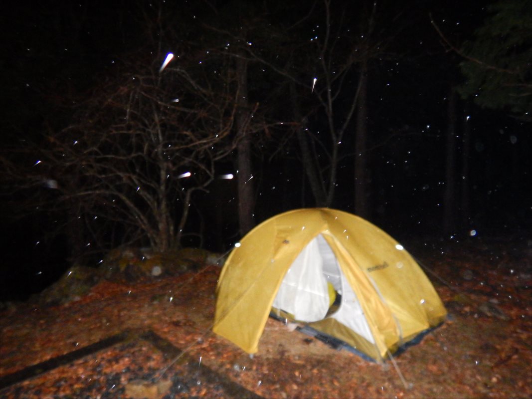 f:id:SISIS:20210514224916j:plain