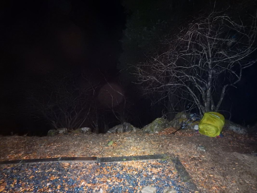 f:id:SISIS:20210514224921j:plain