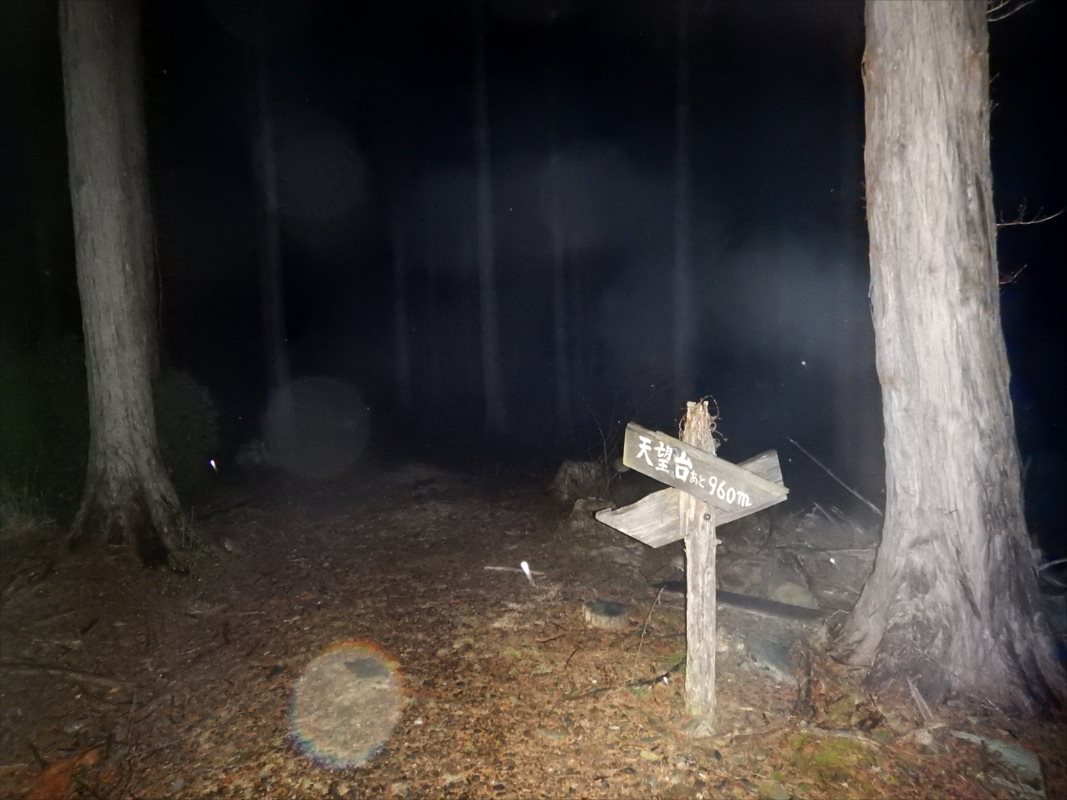 f:id:SISIS:20210514224925j:plain