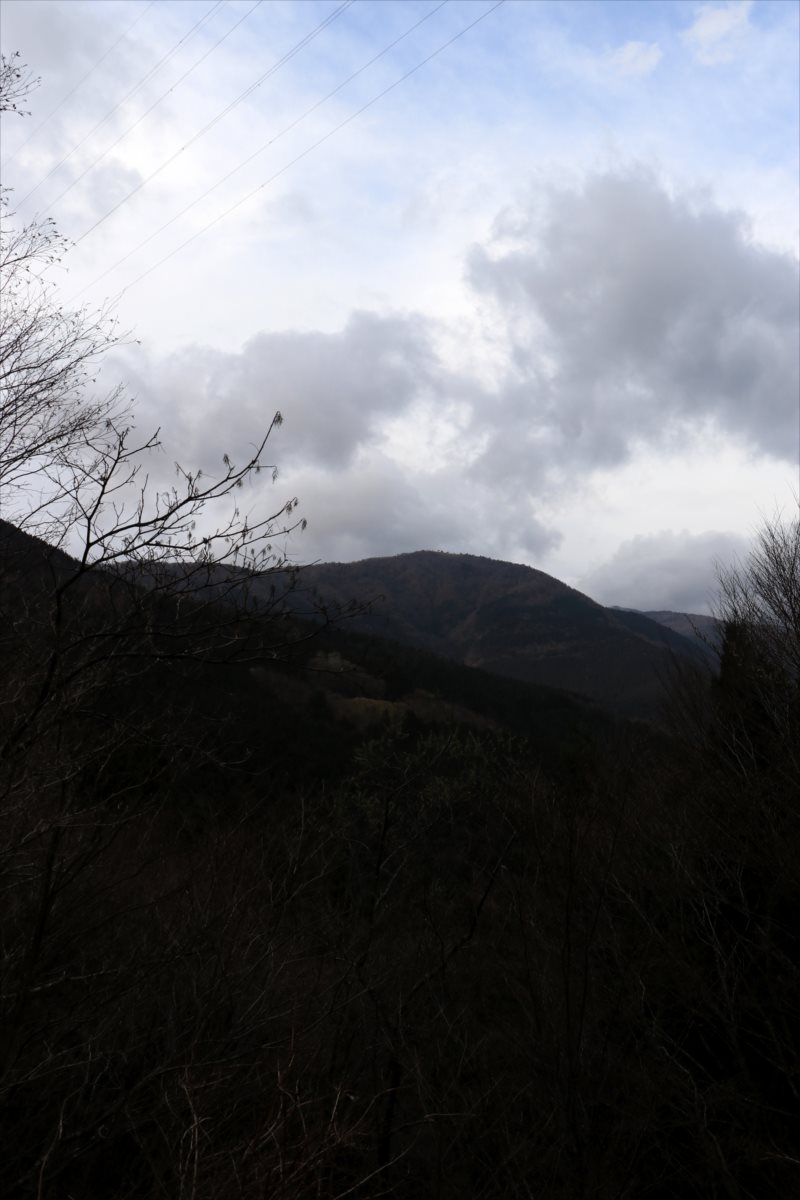 f:id:SISIS:20210514225003j:plain