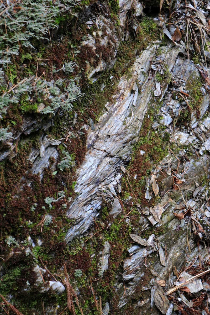 f:id:SISIS:20210514225022j:plain