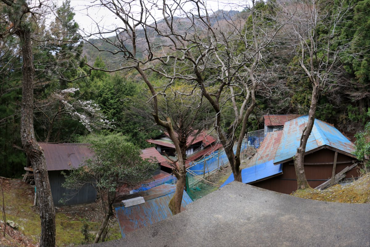 f:id:SISIS:20210514225053j:plain