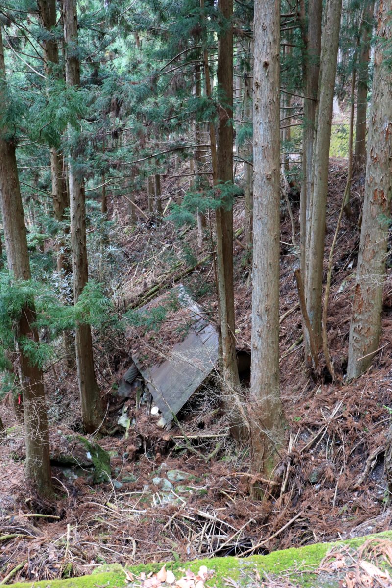 f:id:SISIS:20210514225057j:plain