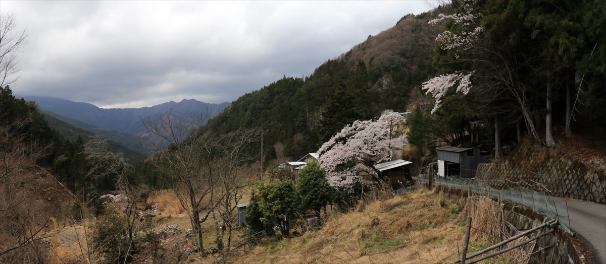 f:id:SISIS:20210514225107j:plain