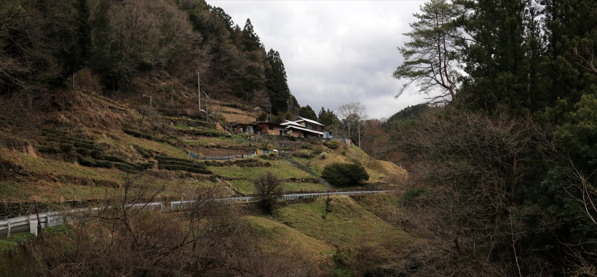 f:id:SISIS:20210514225138j:plain