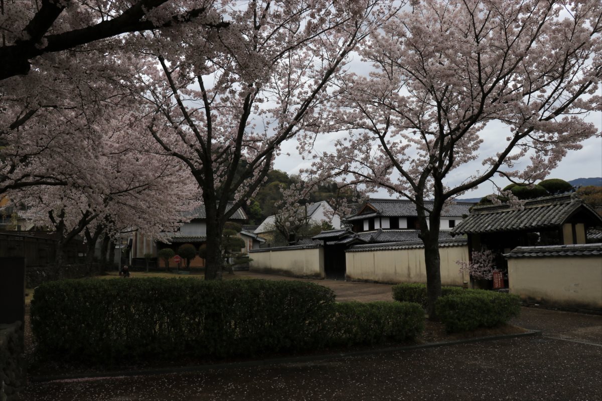 f:id:SISIS:20210514225337j:plain