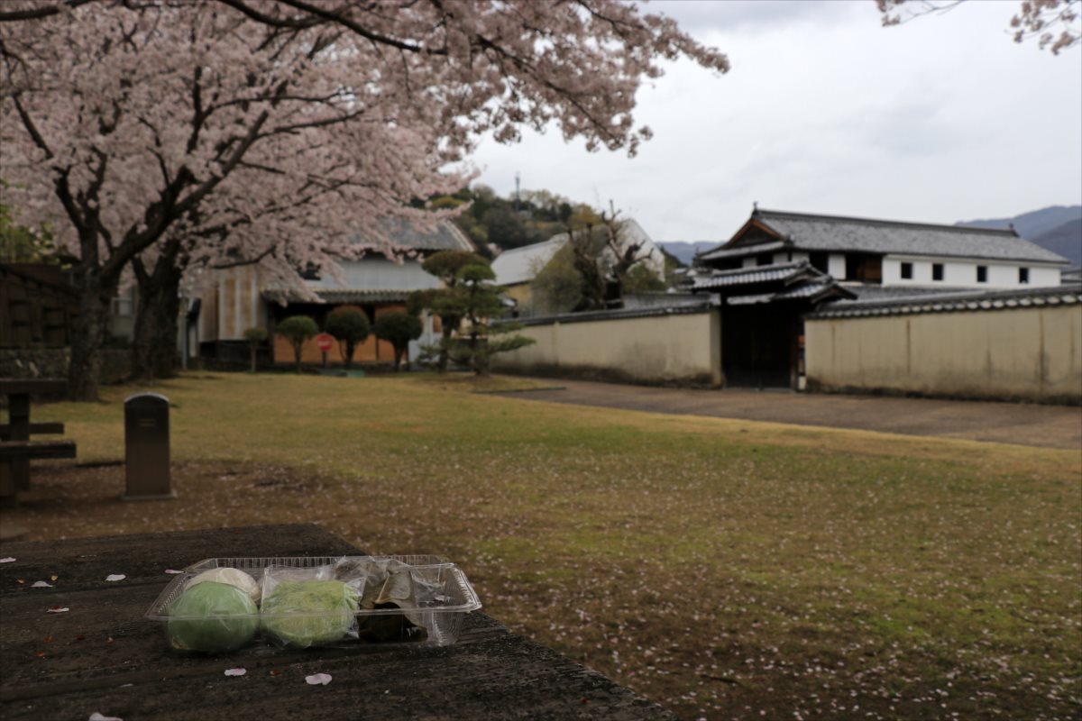 f:id:SISIS:20210514225510j:plain