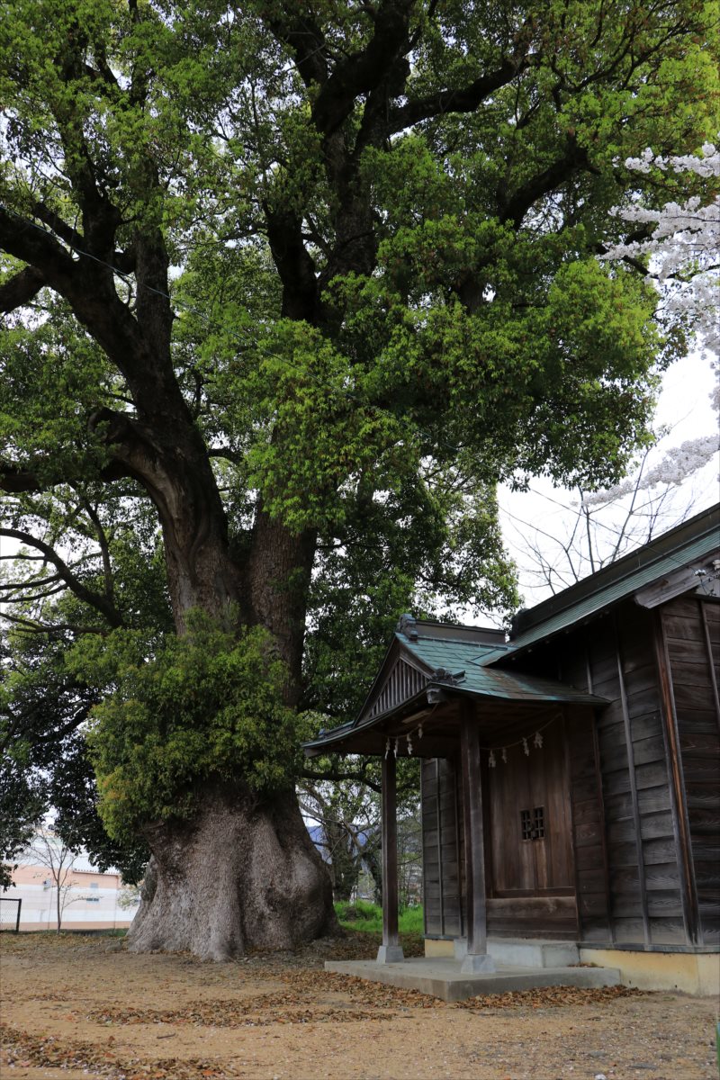 f:id:SISIS:20210514225808j:plain