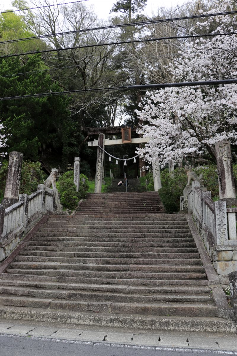 f:id:SISIS:20210514225841j:plain