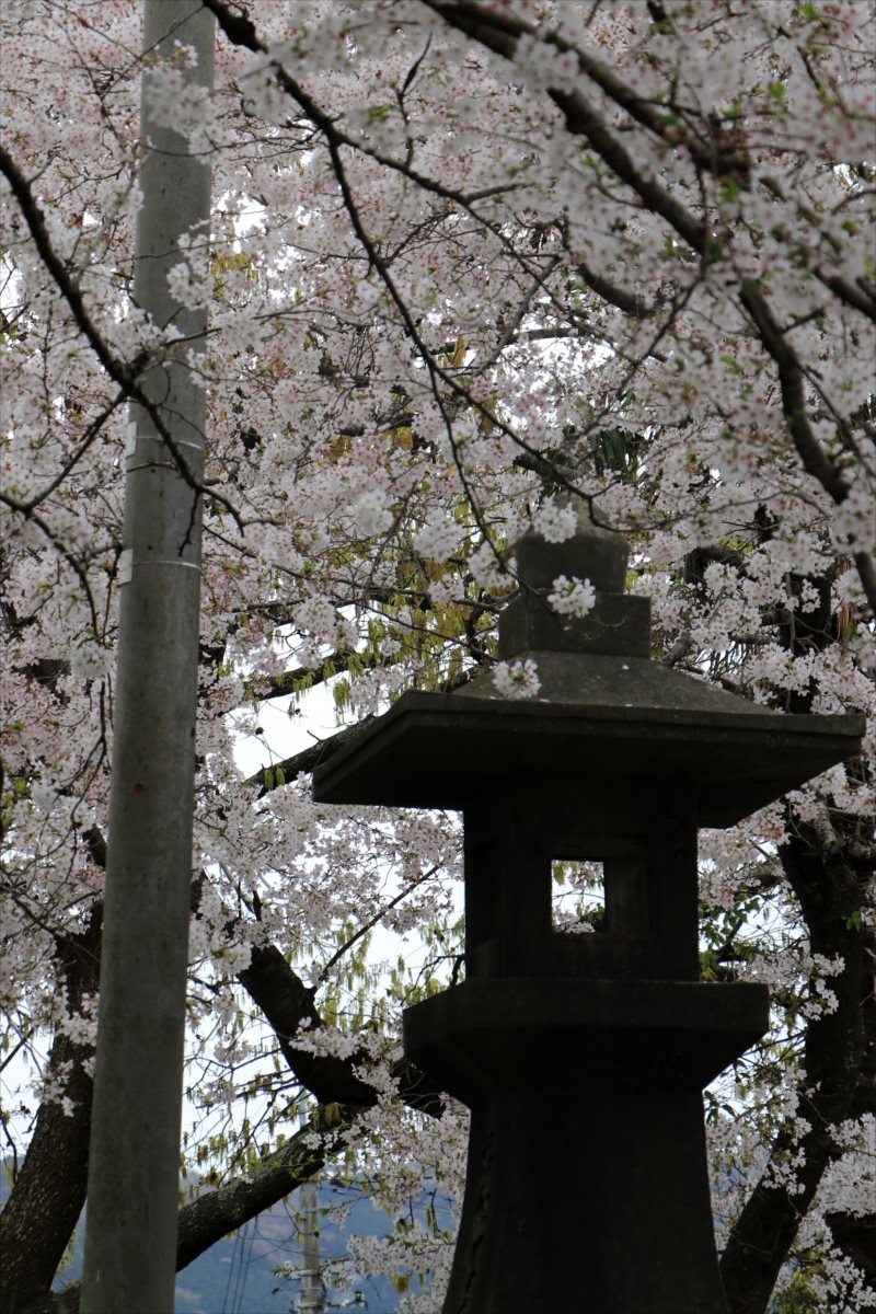 f:id:SISIS:20210514225950j:plain