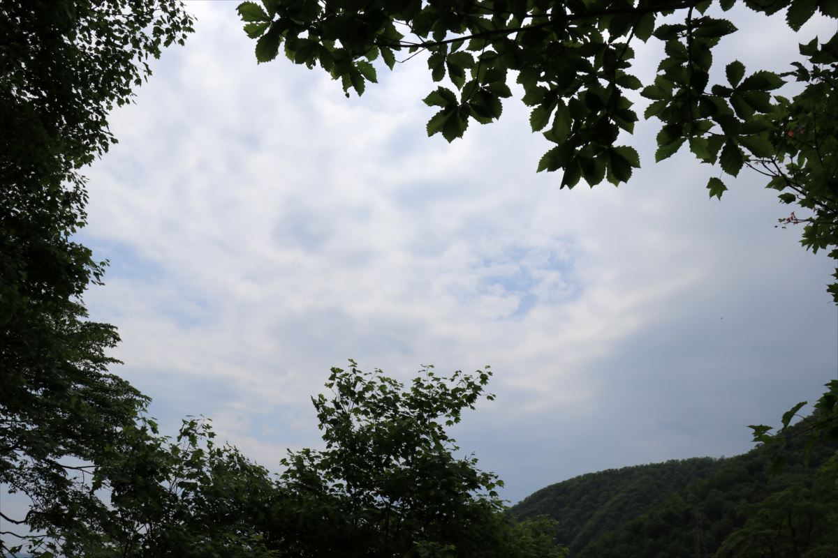 f:id:SISIS:20210627200736j:plain