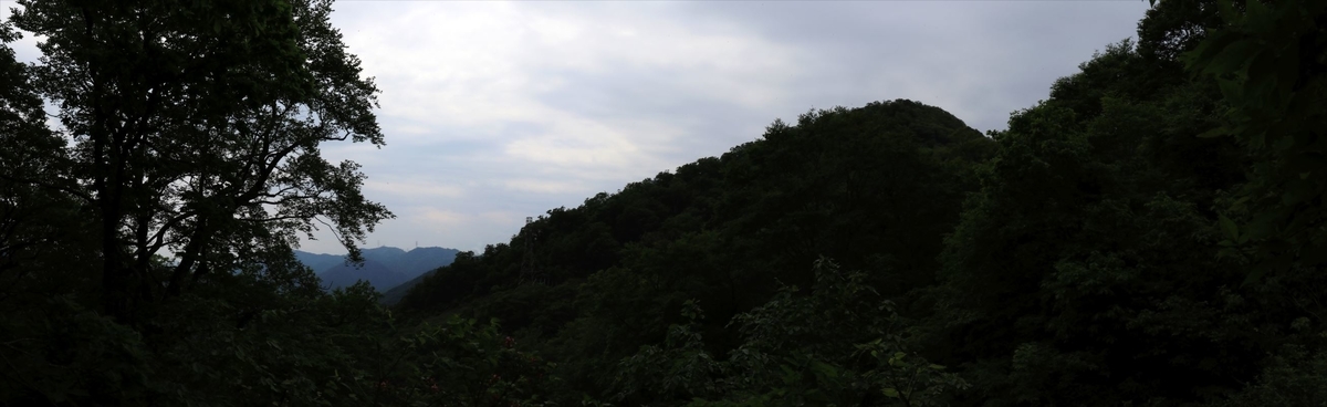 f:id:SISIS:20210627200753j:plain