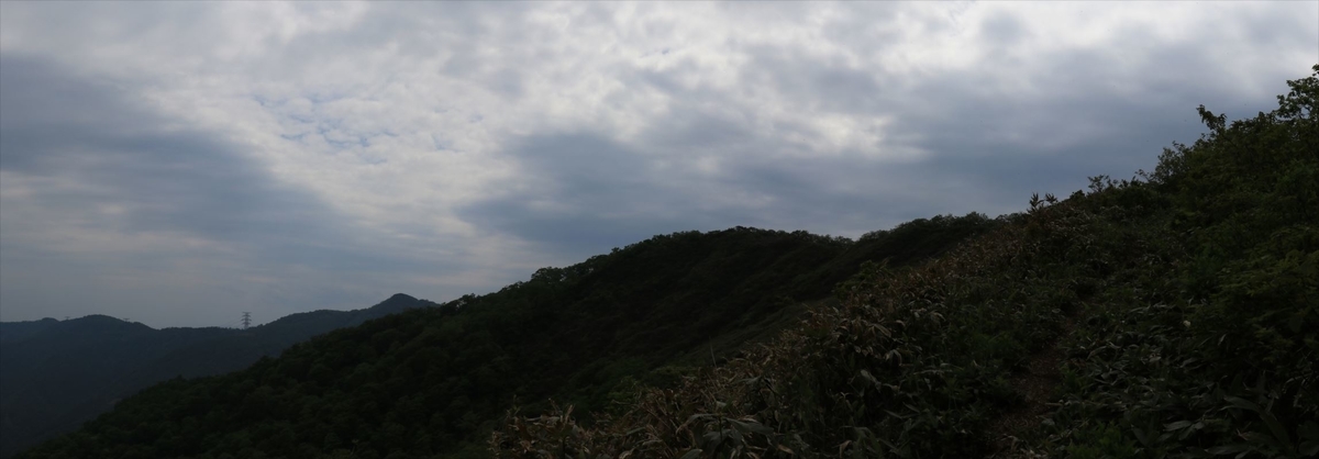 f:id:SISIS:20210627201200j:plain