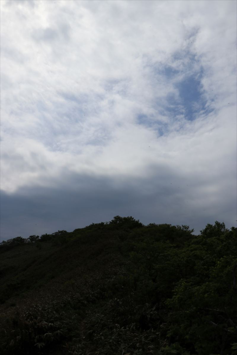 f:id:SISIS:20210627201206j:plain