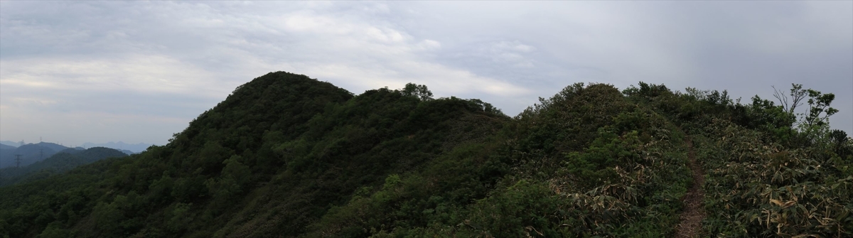 f:id:SISIS:20210627201414j:plain