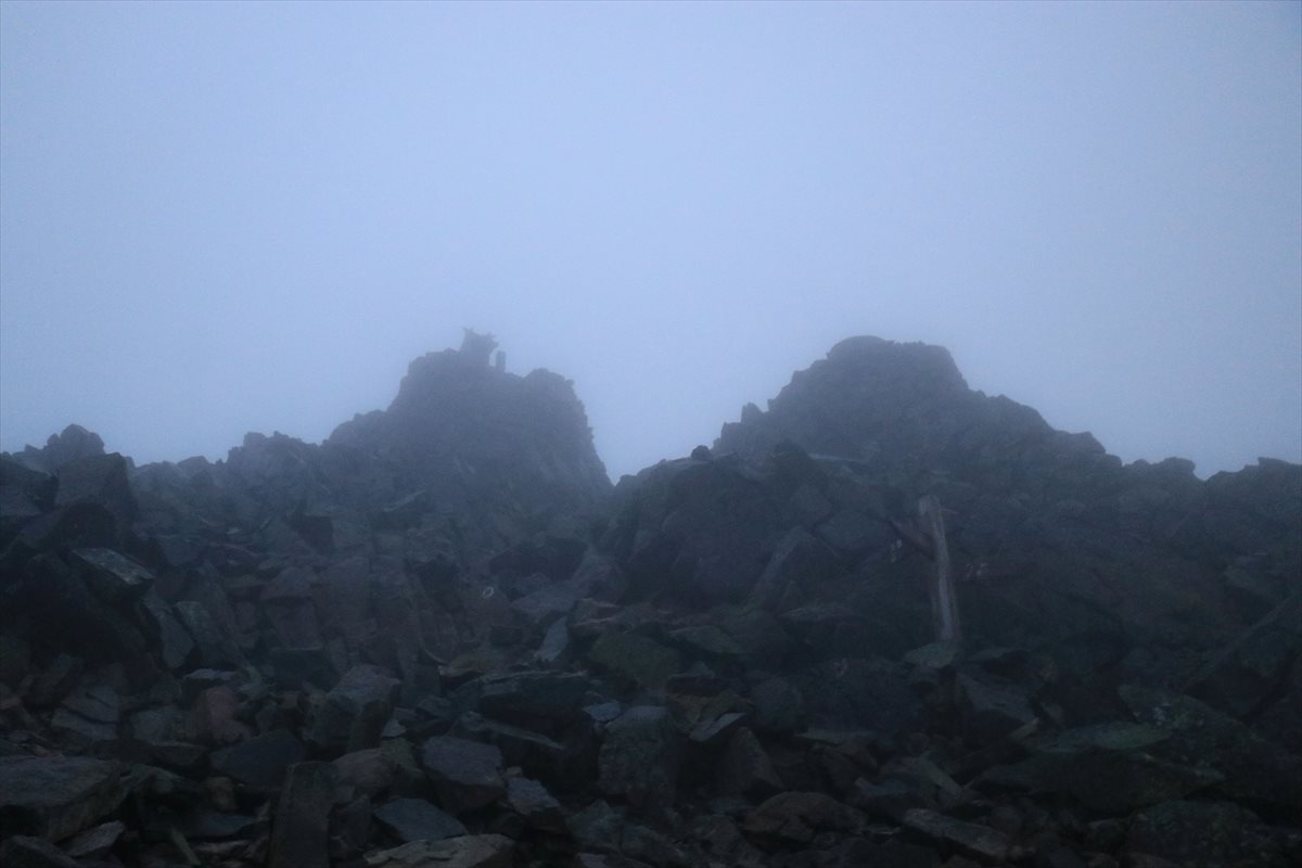 f:id:SISIS:20211109210451j:plain