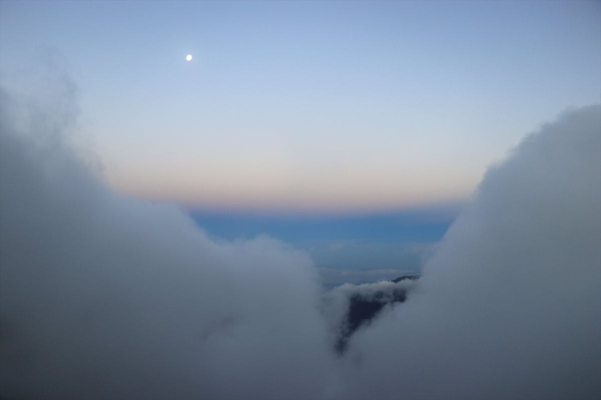 f:id:SISIS:20211109210501j:plain