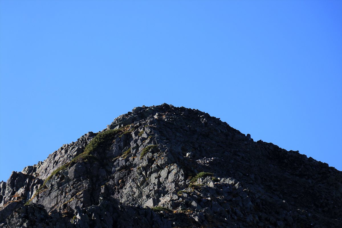 f:id:SISIS:20211109210709j:plain