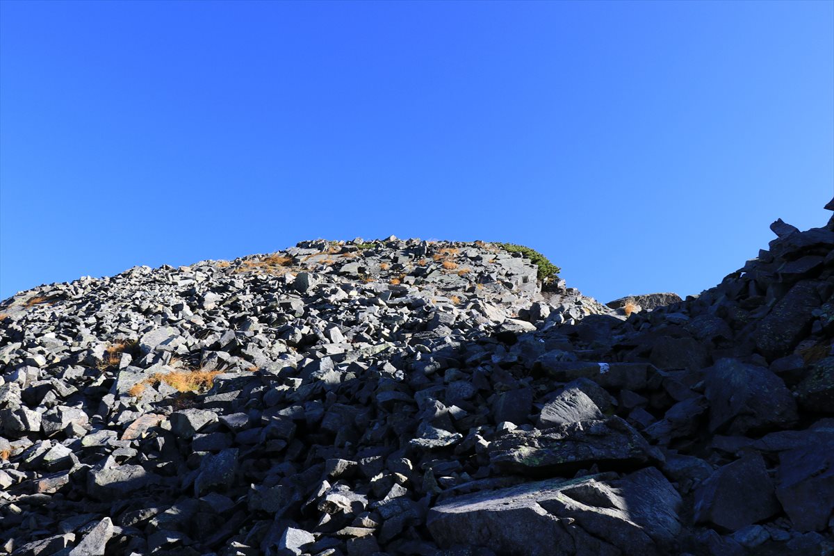 f:id:SISIS:20211109210727j:plain