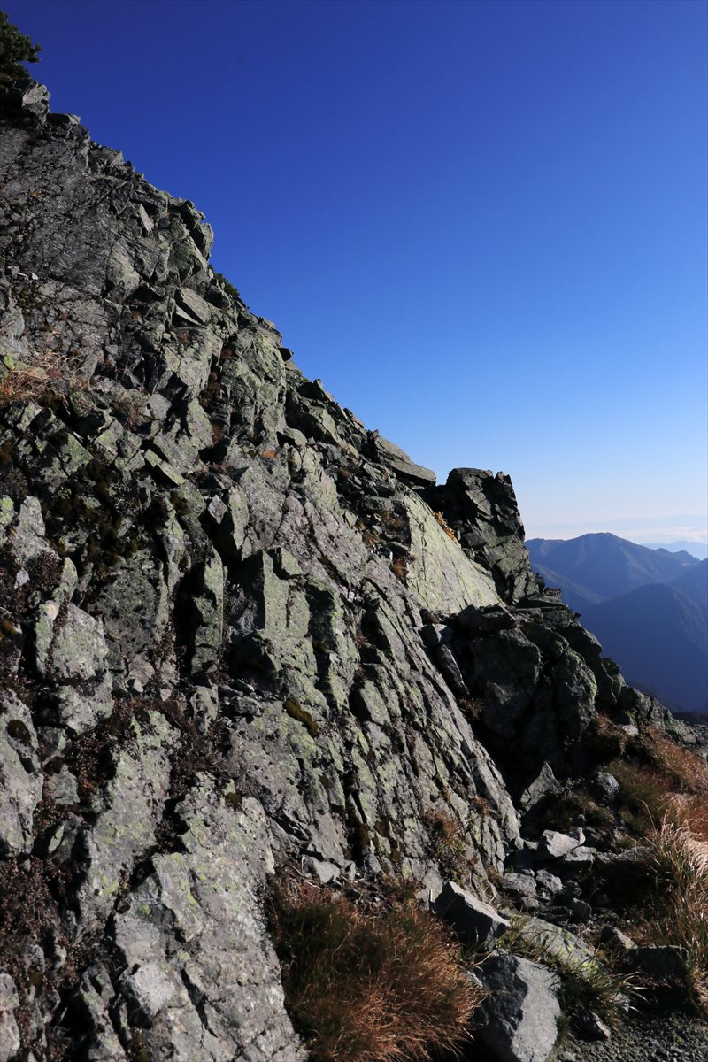 f:id:SISIS:20211109210729j:plain