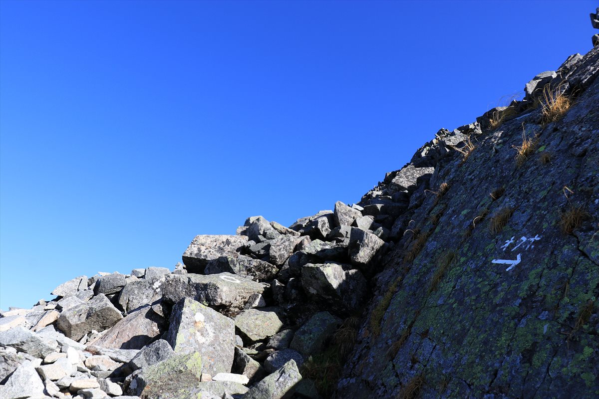 f:id:SISIS:20211109210732j:plain