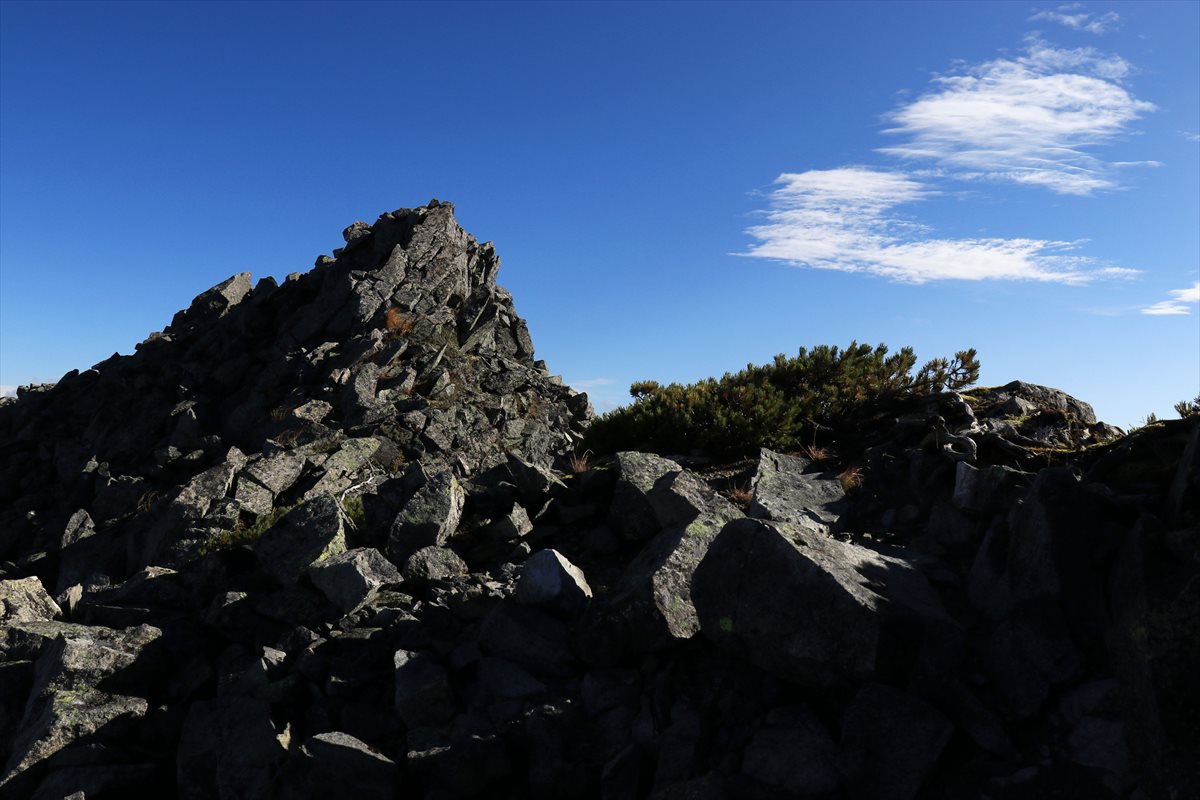 f:id:SISIS:20211109210759j:plain