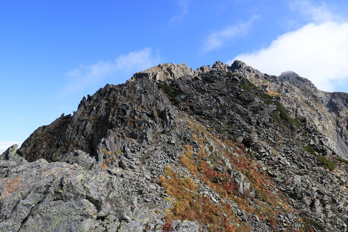 f:id:SISIS:20211109210916j:plain