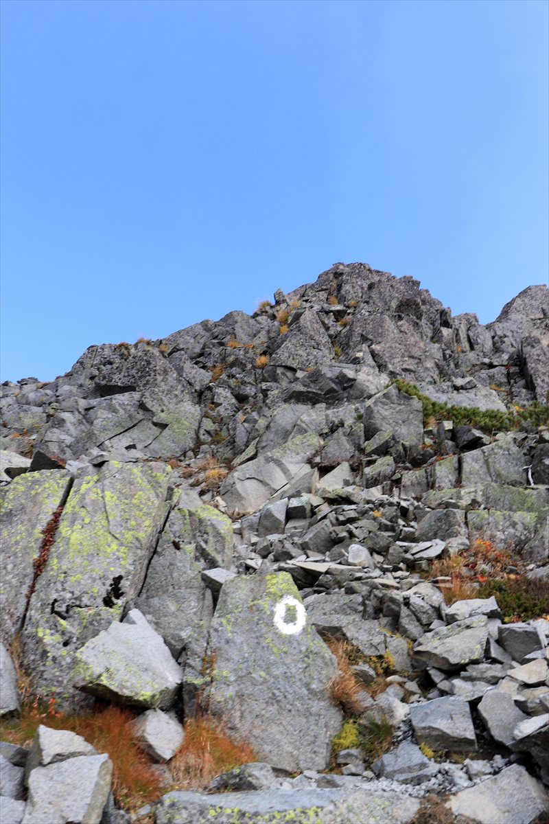 f:id:SISIS:20211109210939j:plain