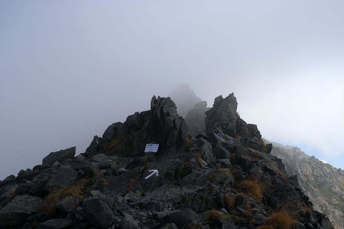 f:id:SISIS:20211109210942j:plain