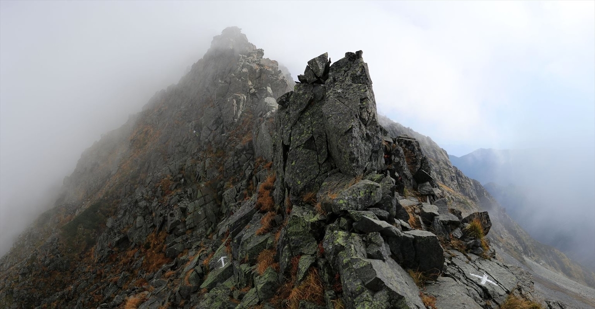 f:id:SISIS:20211109210945j:plain