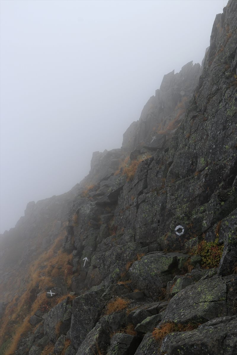 f:id:SISIS:20211109210948j:plain