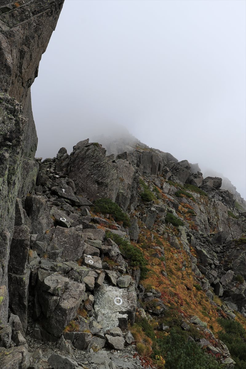 f:id:SISIS:20211109211004j:plain