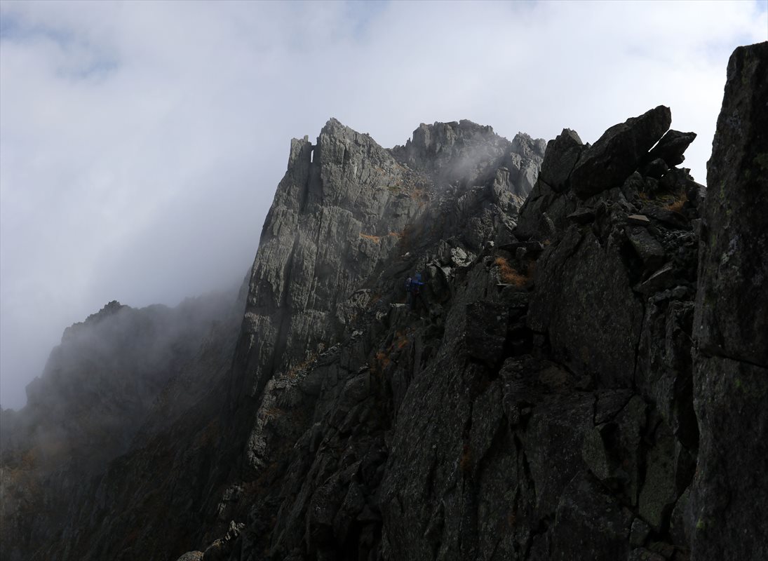 f:id:SISIS:20211109211016j:plain