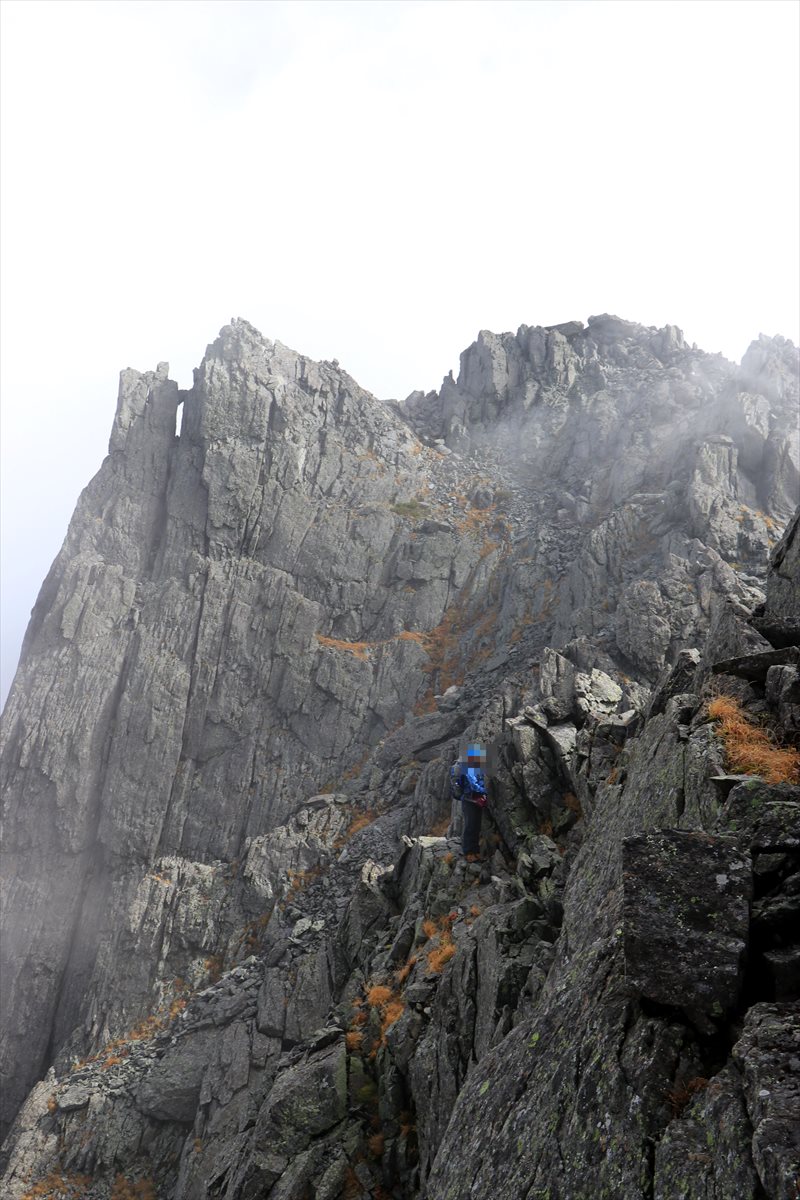 f:id:SISIS:20211109211020j:plain