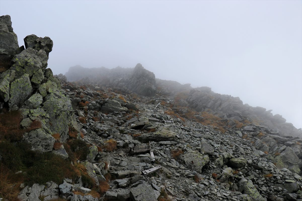 f:id:SISIS:20211109211041j:plain