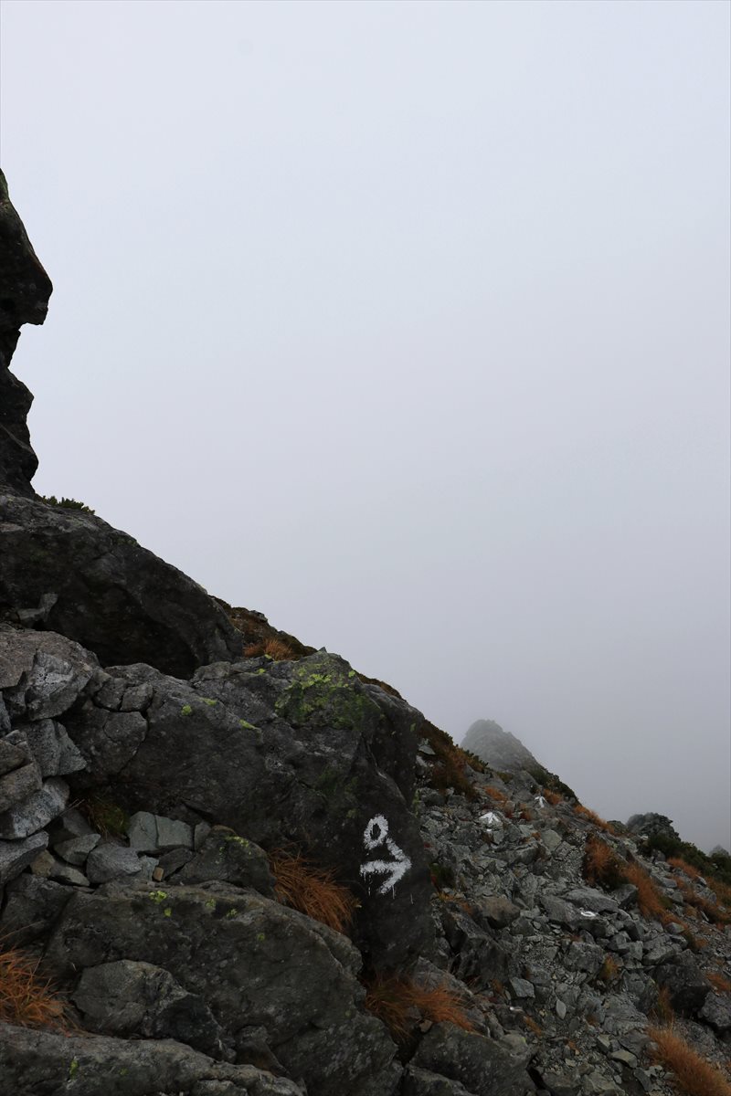 f:id:SISIS:20211109211132j:plain