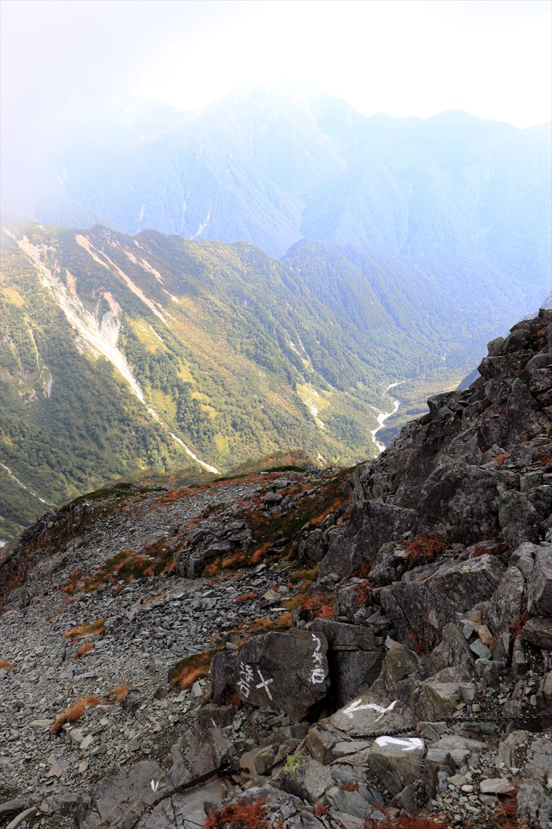 f:id:SISIS:20211109211143j:plain